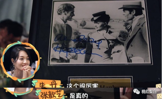 被老公宠上天的张歆艺,张歆艺婚后的生活