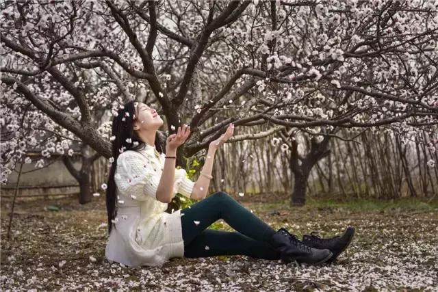 禹州清明踏青旅游攻略,禹州春游爬山的好地方