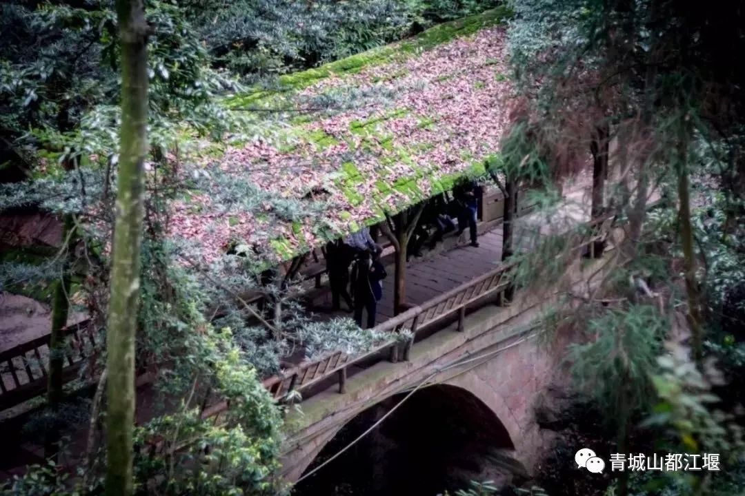 坐上公交去旅行!跟着这条101路线,带你玩遍大半个都江堰~一站一景,吃喝玩乐一网打尽!