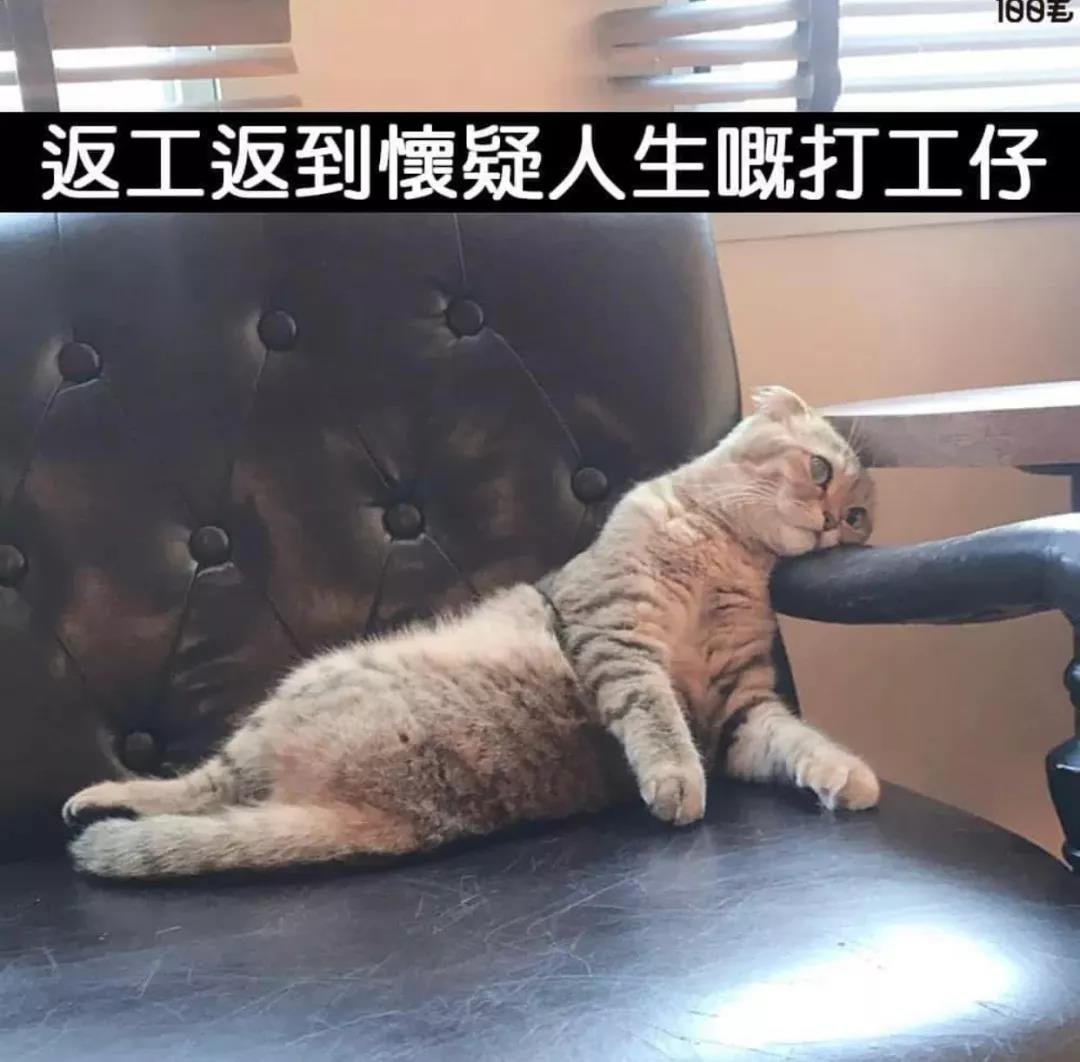 锋线位置的脚底宝藏