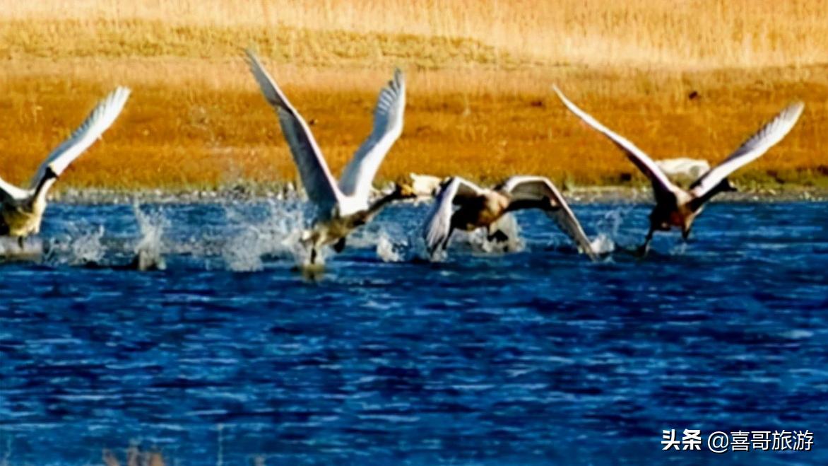 重庆市奉节县有哪些旅游地方,重庆奉节旅游景点大全攻略