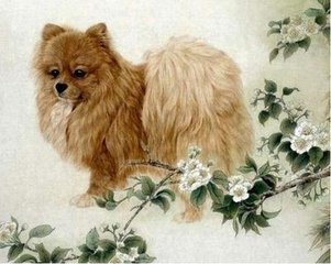 2019猪生肖每月运势李居明,2019特吉生肖运势