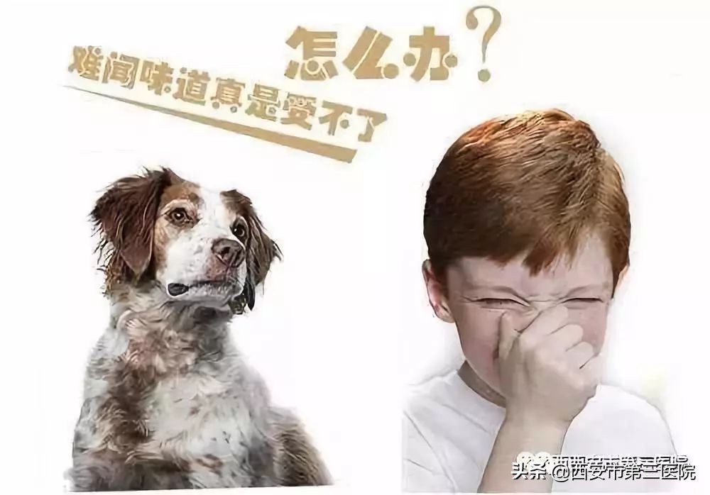 专家都有什么不同,专家说症状类似感冒