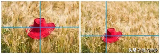 拍摄构图中常用的5种景别,摄影技巧三分法