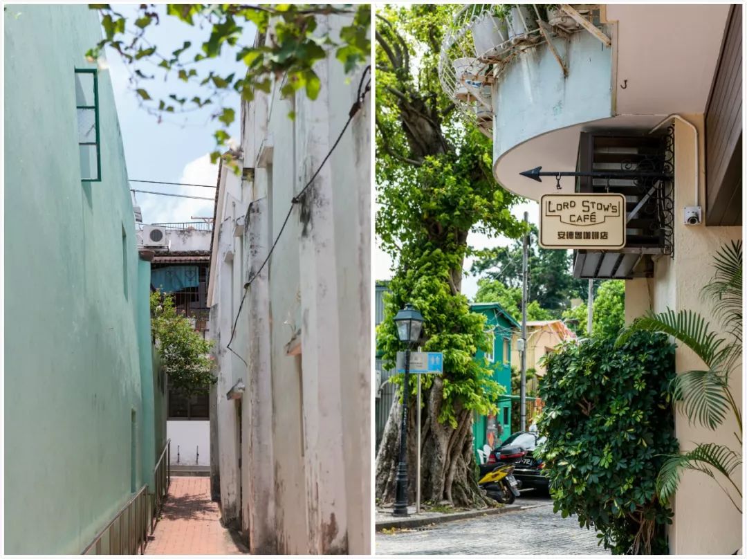 给你一个爱上夏天的理由,爱上澳门这座城市