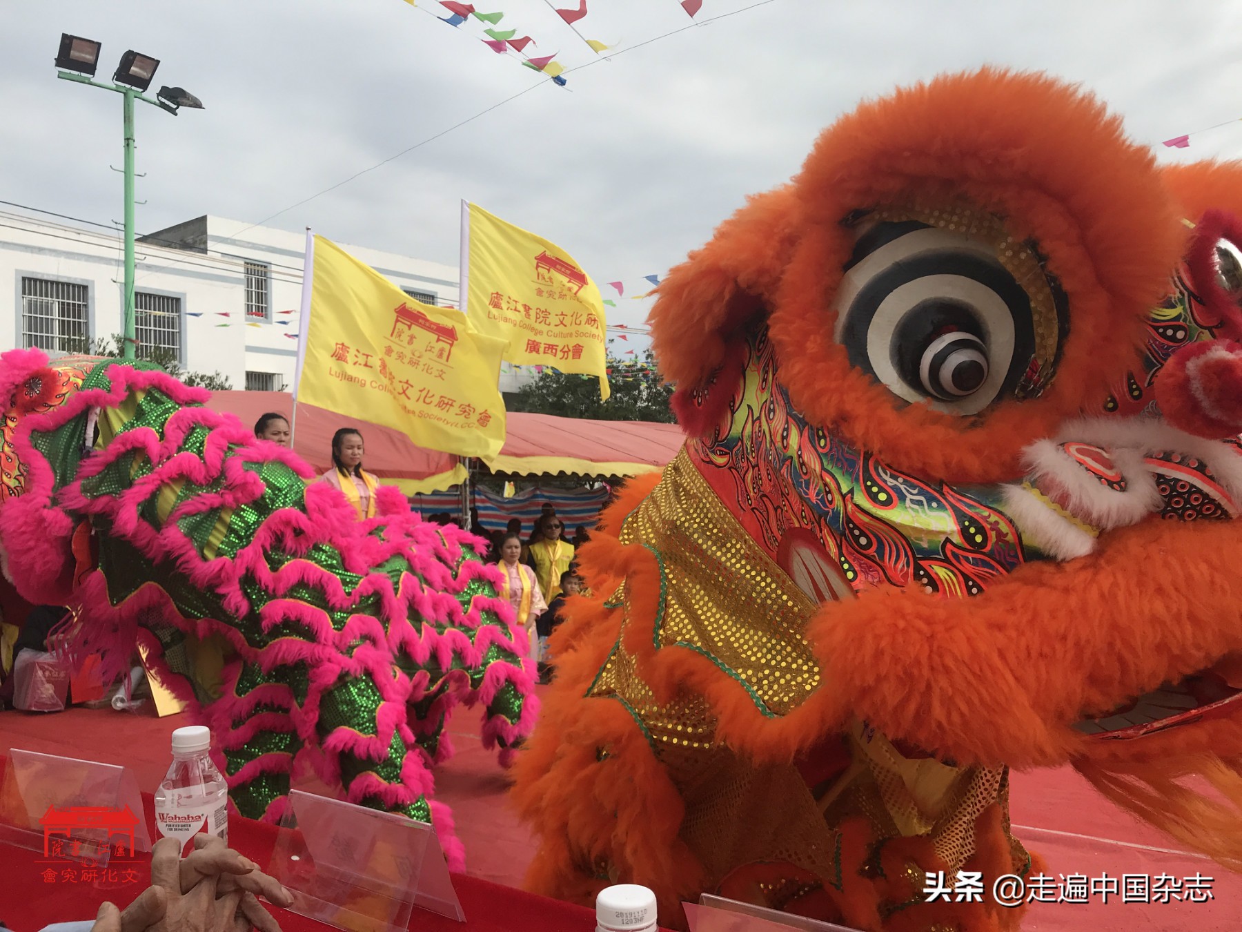 庐江何氏仁本堂,何氏庐江书院