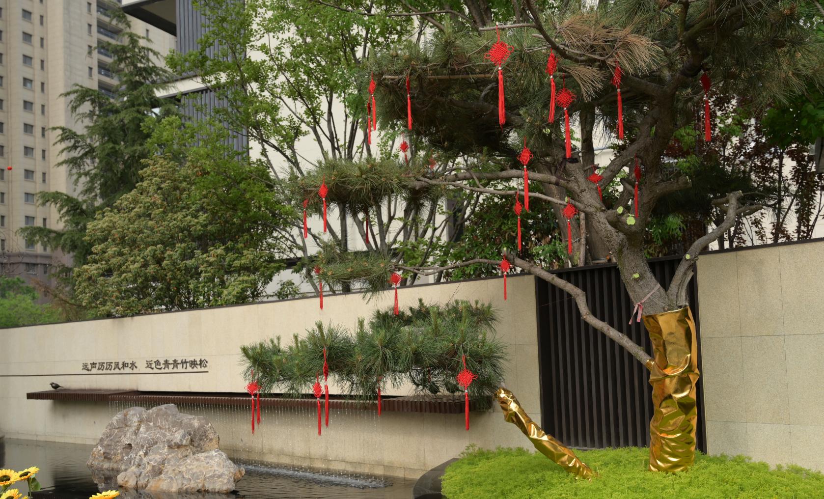 浪漫就是拥有一所静雅庭院院，与你一起云淡风轻