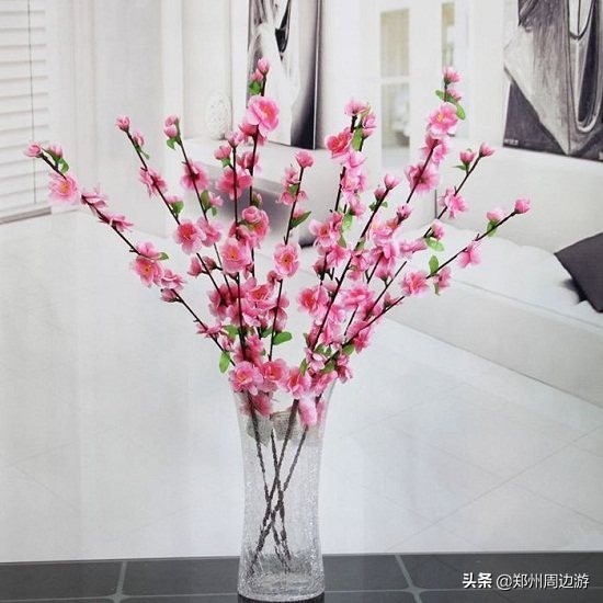 十种最旺客厅的花冬季,春节喜庆花卉有哪些