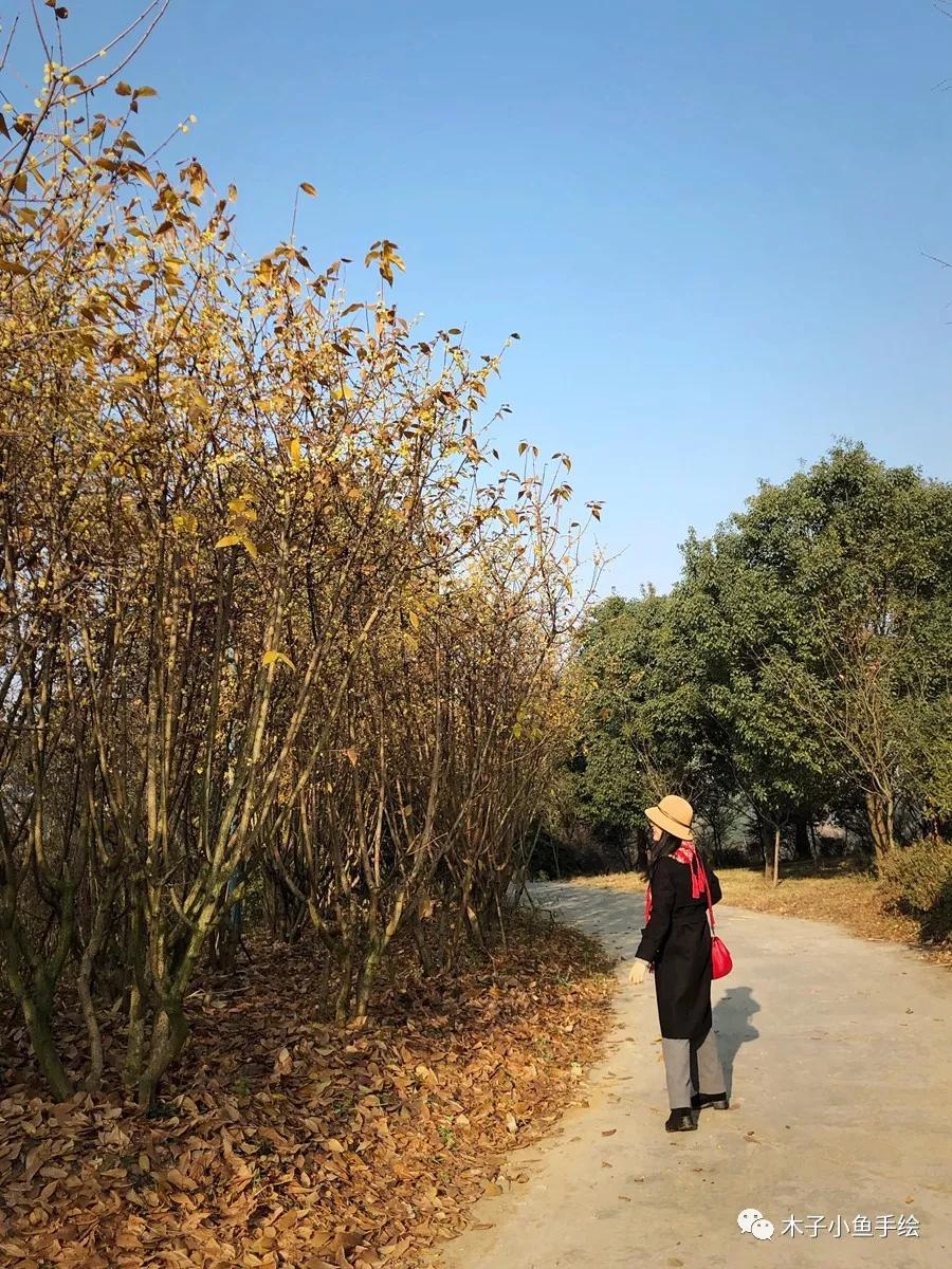 成都四季家园房价多少,四川省成都市的四季