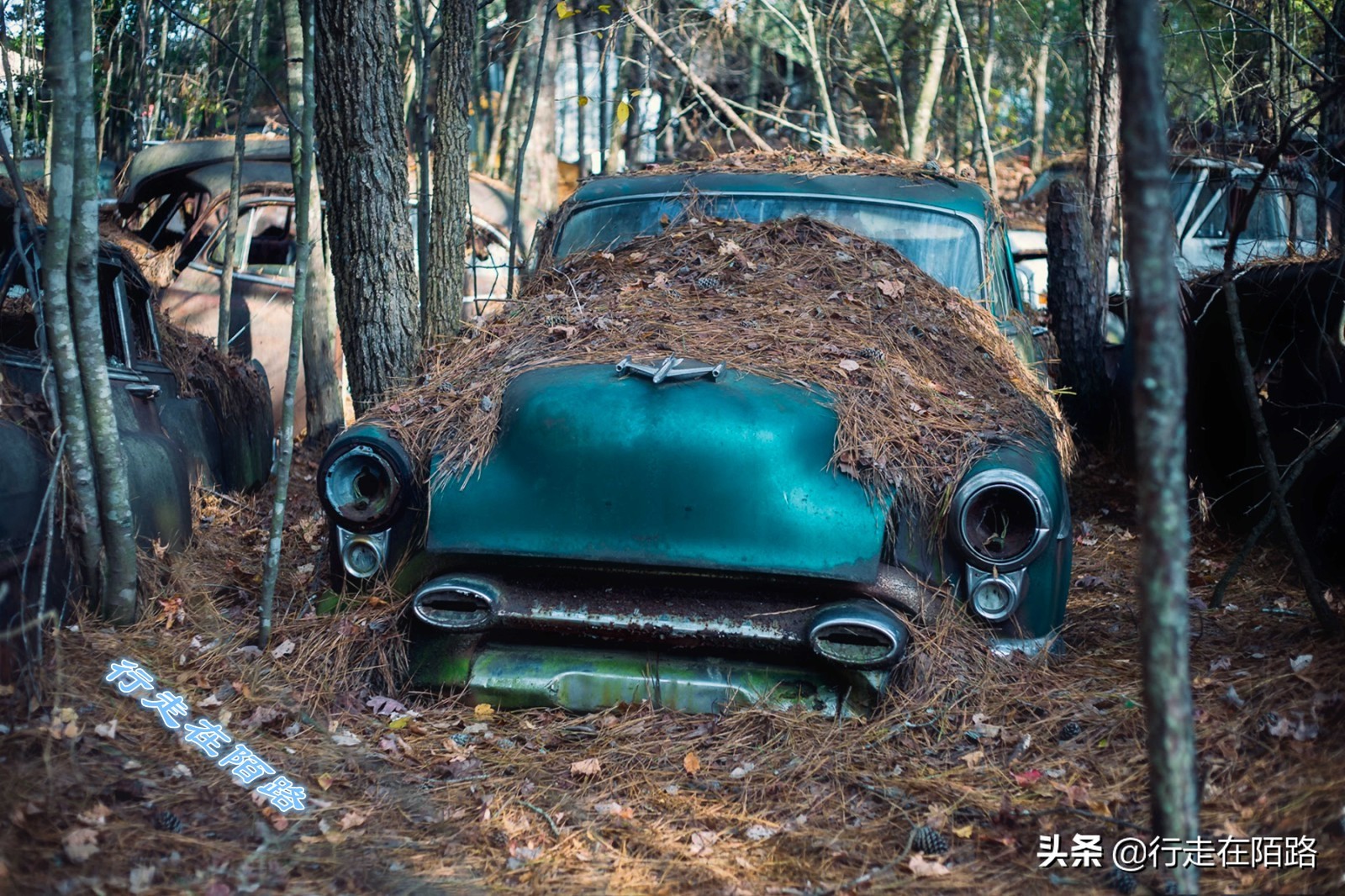 最值钱的废品,最值钱的废品回收