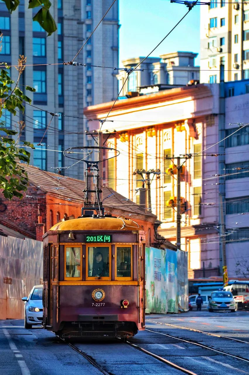 突然就想去成都了,突然想去青岛了