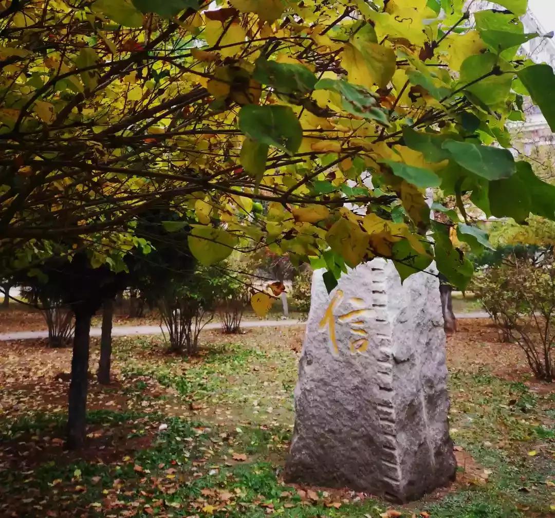 辽宁省民办大学,辽宁理工学院是民办吗