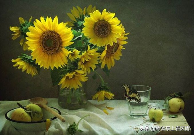 知己是一种心灵的陪伴,知己感动到哭的视频