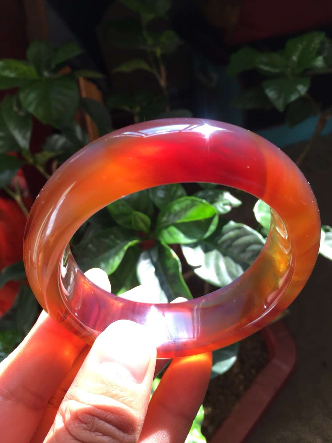 最好的琥珀是哪里产的,琥珀哪里的产地最好