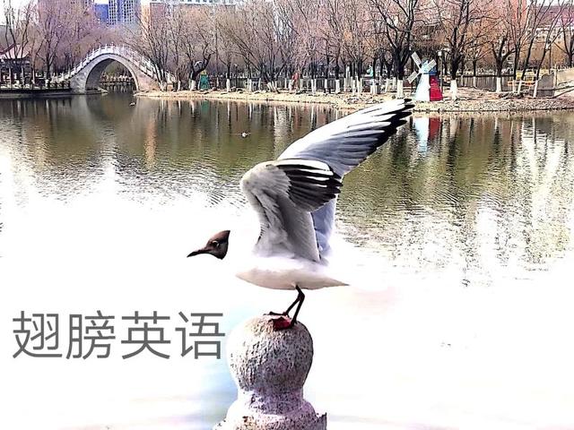 facethemusic的由来,facethemusic译文