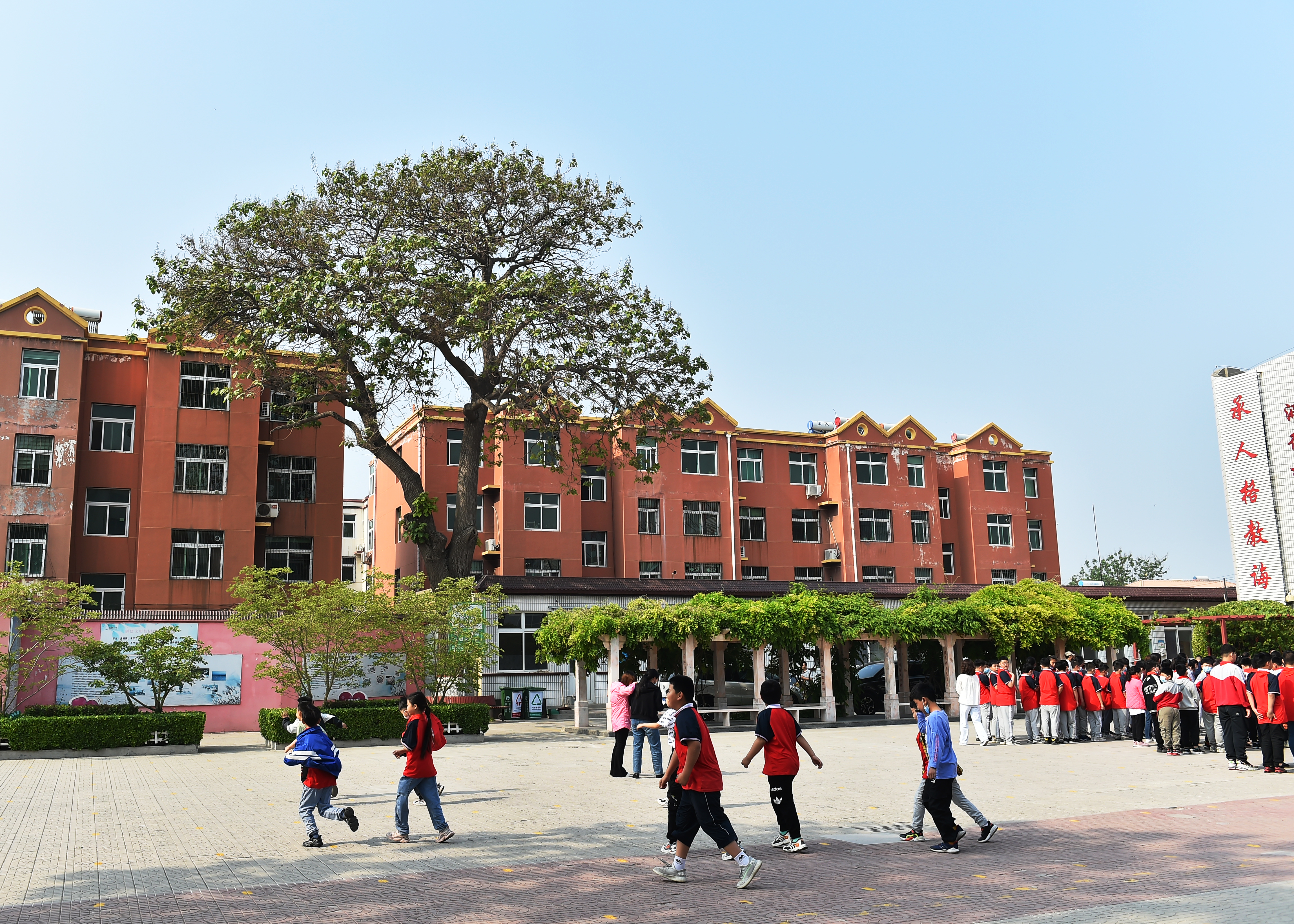 安新第二小学,绿树成荫倪邱中学校园