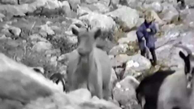 球星故事：从战火中逃离出来的金球先生，莫德里奇逆转人生！