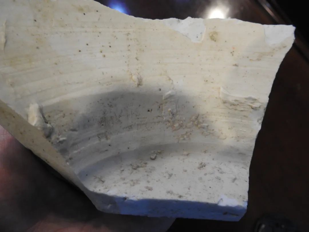 鍏冮潚鑺卞寽鐪熷搧鐗瑰緛,姘戠獞鍏冮潚鑺辩鐗瑰緛