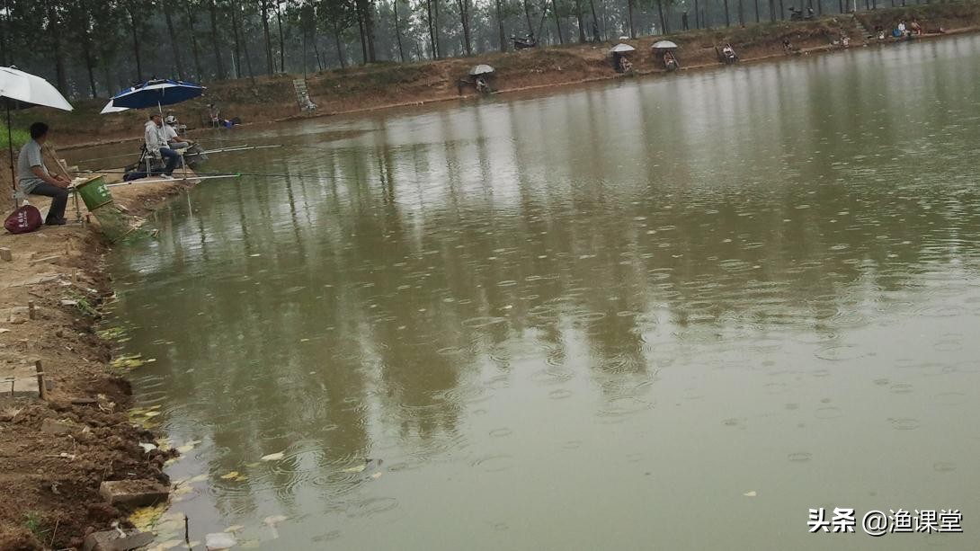 缺氧怎么钓鲤鱼,水面缺氧如何钓鱼攻略图解