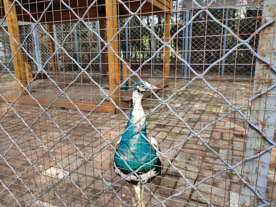 沈阳周边有山有水的免费景点,沈阳工业展览馆2021车展免费门票