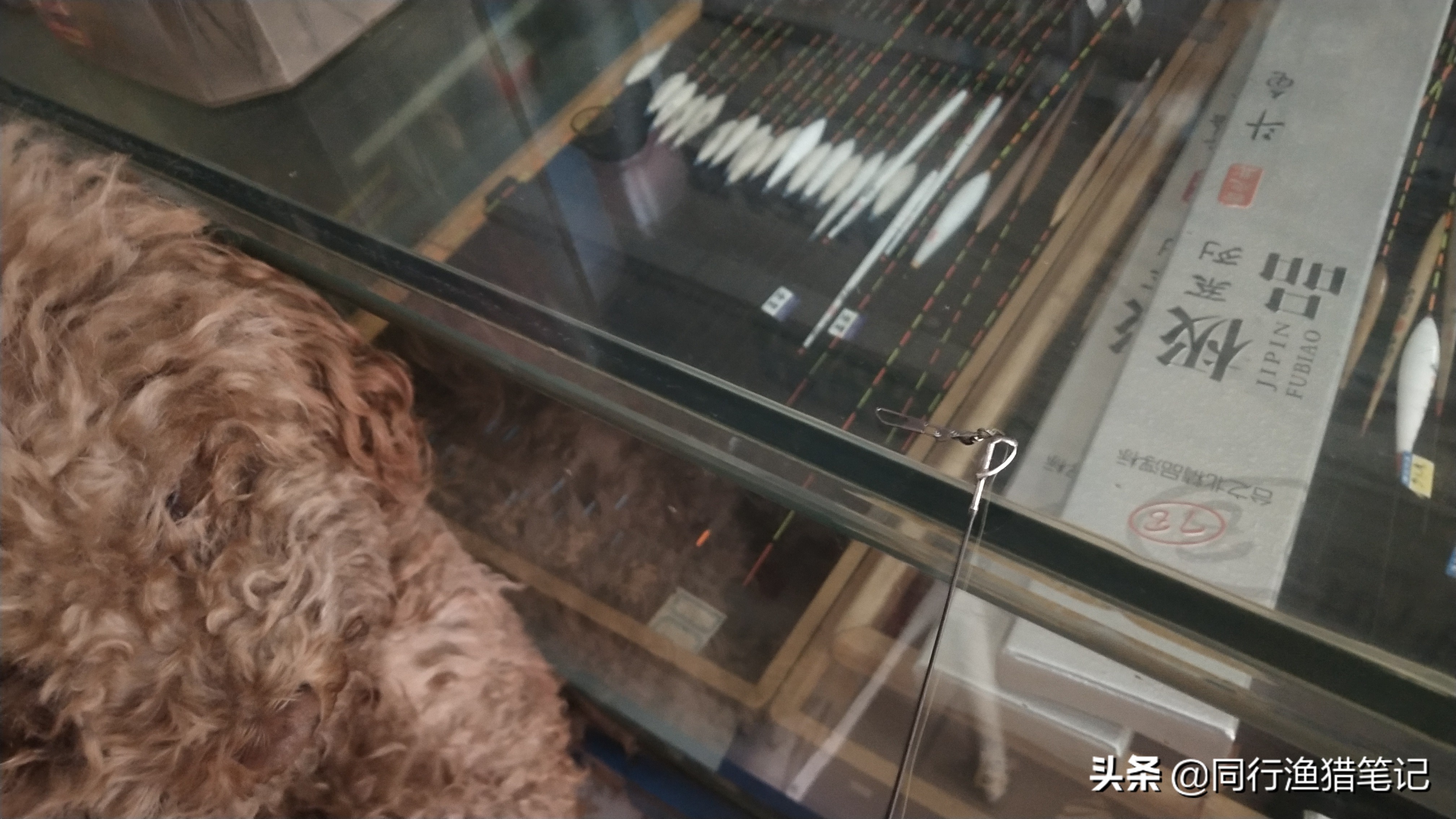 海竿怎么装线组完整版,海竿怎么装线组钓底