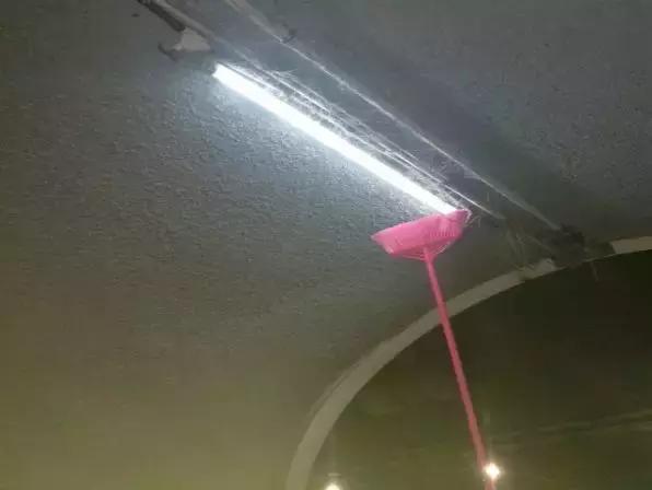 春节回家必经的隧道,不看本文我完全认不出!