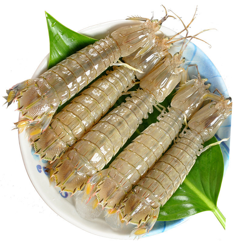 渤海湾野生海鲜图片,渤海湾海鲜为什么好