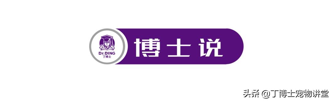 宠物狗基础护理知识大全,狗狗产后低血钙怎么在家急救