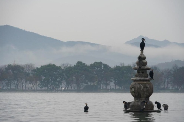 苏轼最美的30首诗江城子,苏轼20首经典诗简短