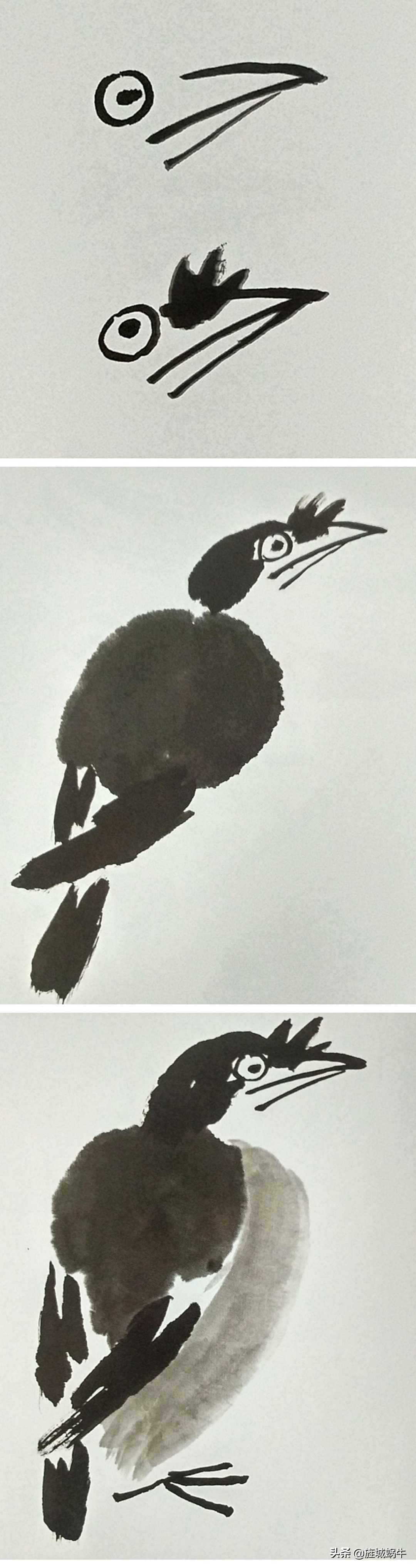 一学就会的禽鸟画法书,禽鸟的画法大全图解