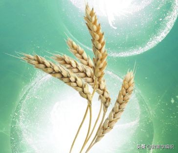 雅诗兰黛眼霜去细纹效果怎么样,雅诗兰黛祛眼纹吗