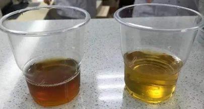 母猪霉菌毒素超标对小猪有影响吗,霉菌毒素对猪危害的图片