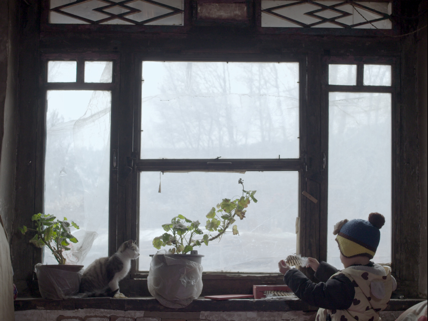 中国导演优秀电影,2018中国导演协会表彰完整版