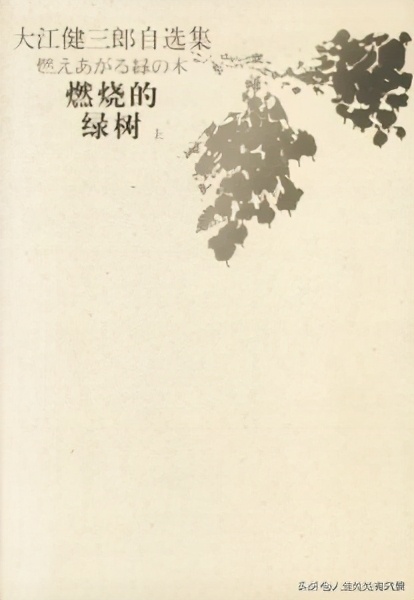 大江健三郎散文,大江健三郎小说完整版