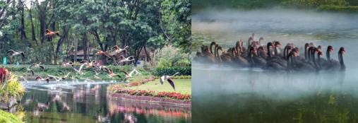 2019暑假珠海长隆亲子游攻略,广州长隆值得玩2天吗