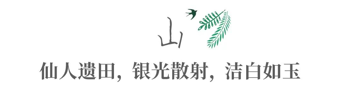 带你Get《司藤》同款神仙美景，春天的香格里拉这样玩