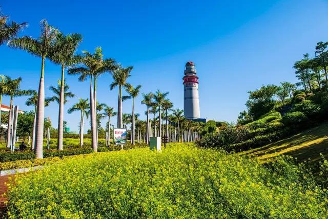 厦门什么地方吹海风吃着美食,厦门必吃海鲜吹海风