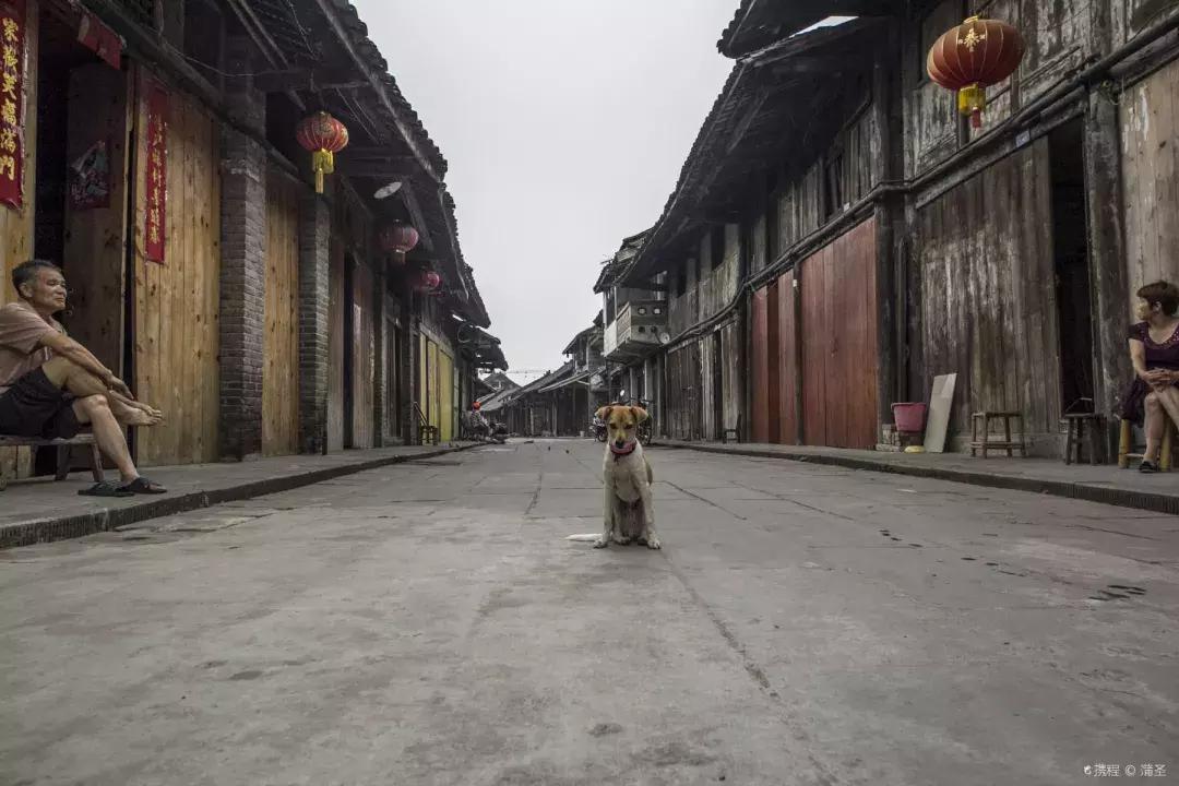 上海一日游古镇最佳路线免费景点,上海朱家角古镇坐地铁怎么去