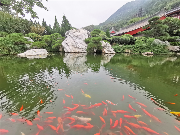 中国三大著名温泉,中国最壮观最省钱的温泉是哪个