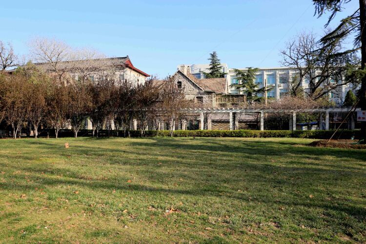 百年山东看青岛千年齐鲁逛青州,山东大学趵突泉景区