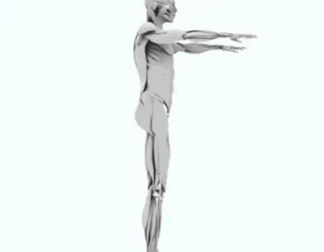 曾梦想仗剑走天涯如今已遍体鳞伤,曾梦想仗剑走天涯后来犯了什么