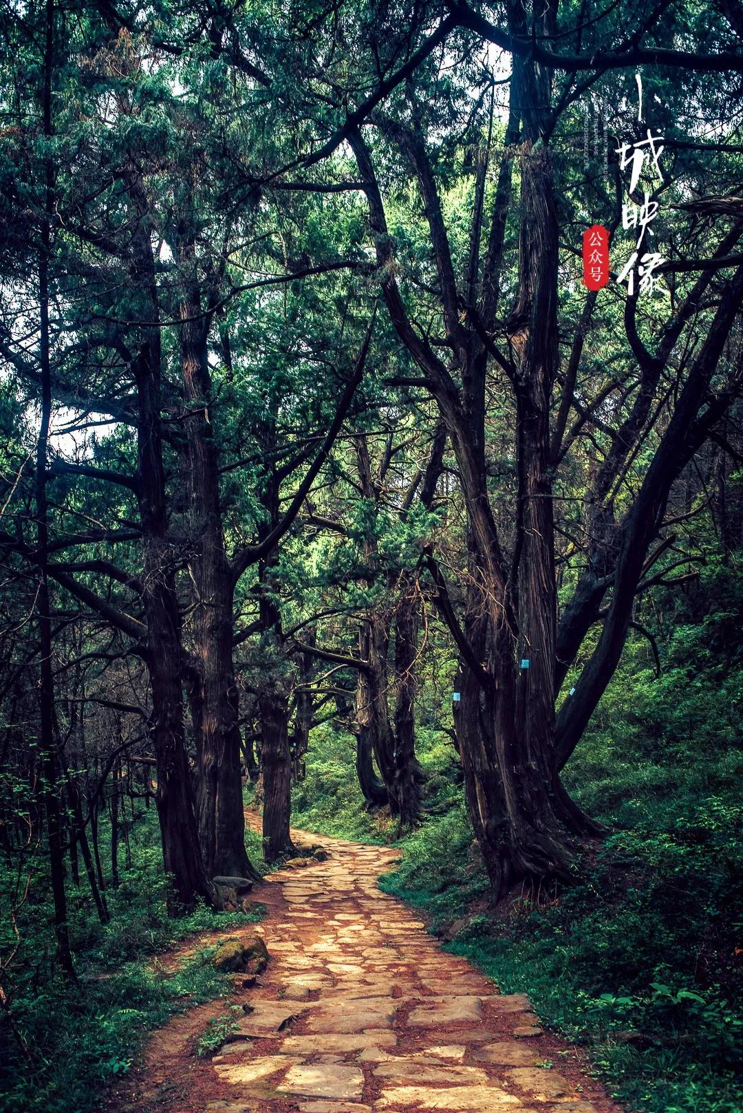 剑阁哪些地方历史悠久,剑阁县的简介