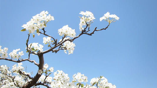 一生必背的100句千古名句,一生必背的180句经典古诗词