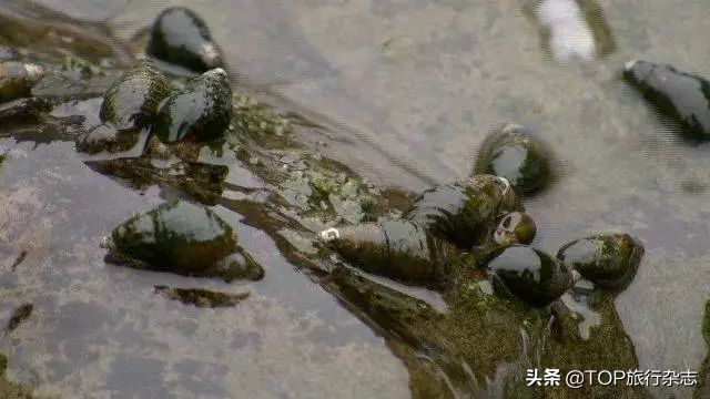 马云偷偷前往的浙西小城，居然藏着这么多“宝藏美景”！马爸爸的眼光居然这么独到吗……