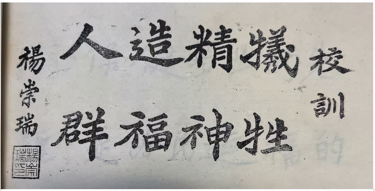 世界手卫生日丨杨崇瑞——中国的赛麦尔维斯