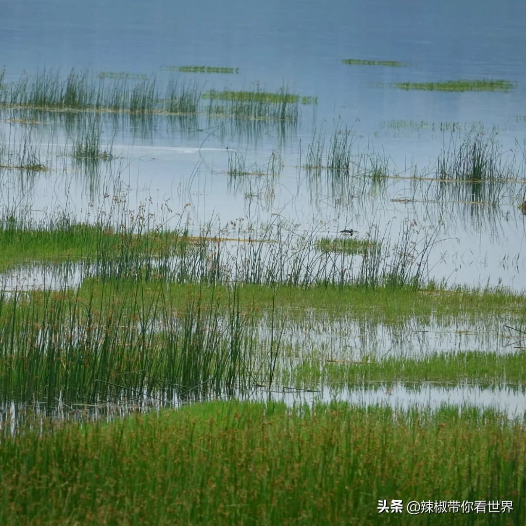 从西到东:贵州——沿河流“黔”行在这里一万种辣椒吃法向你奔来
