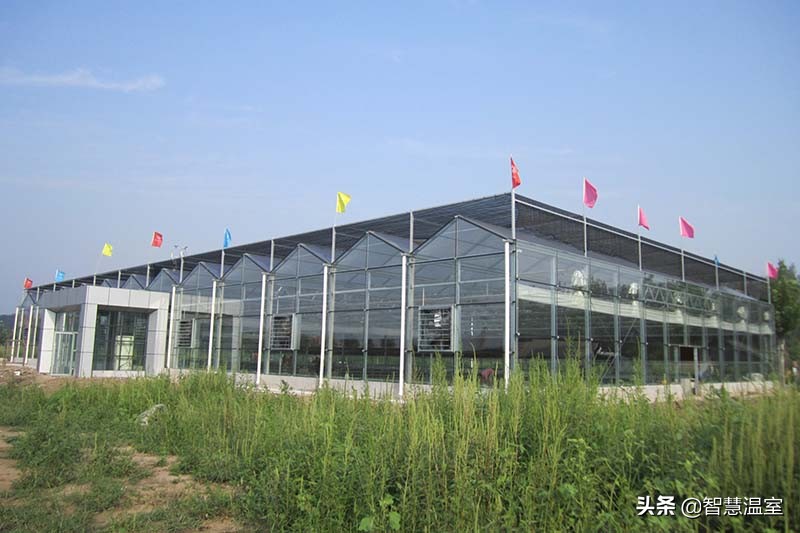 温室大棚生态餐厅合法吗,大棚绿色生态餐厅设计