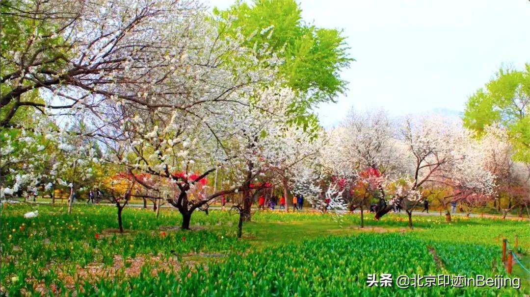 香山静宜园图片大全,香山静宜园二十八景