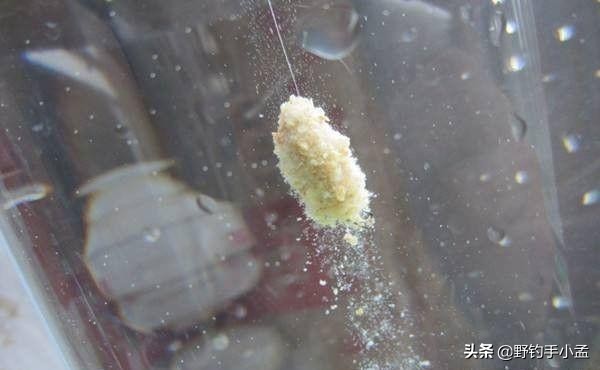 上鱼最快野钓方法冬季窝料,钓鲤鱼怎么开饵附钩性好