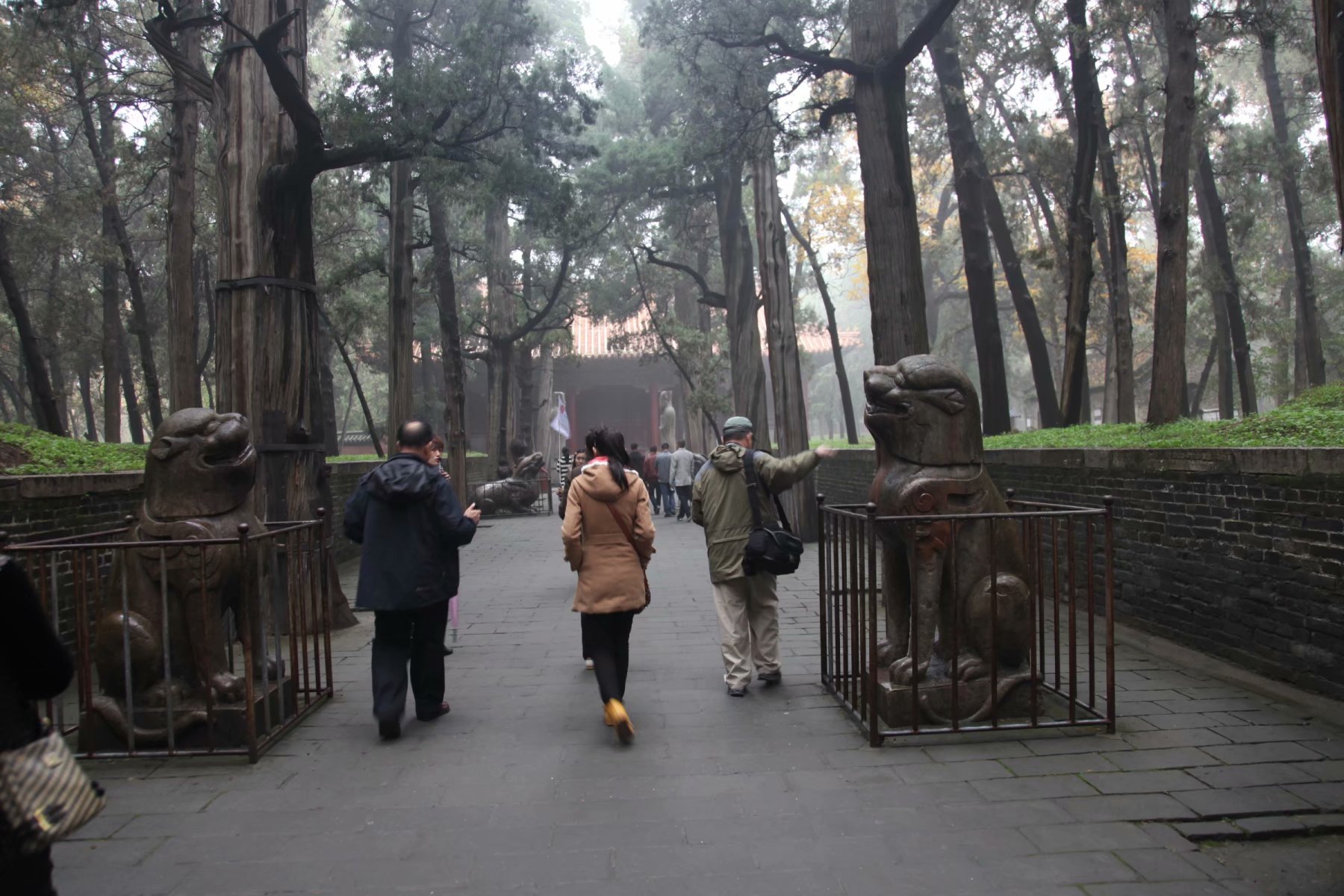 三孔在多少年被收入世界遗产名录,中国世界文化遗产三孔面积